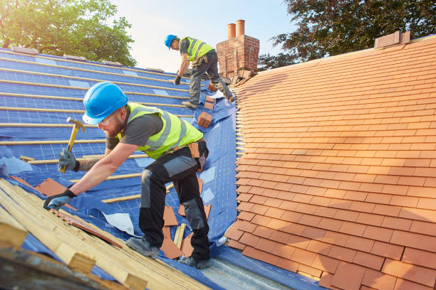 Best Rubber Roofing (EPDM, TPO)  in Cologne, MN
