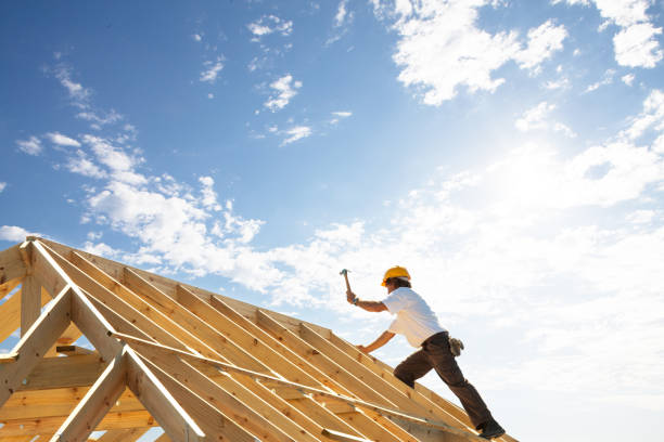 Best Roof Coating and Sealing  in Cologne, MN